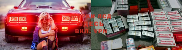 эйфоретик Арсеньев