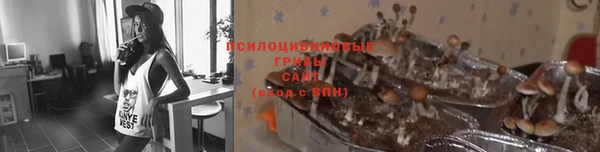 эйфоретик Арсеньев