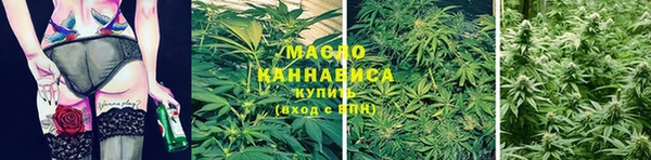 эйфоретик Арсеньев